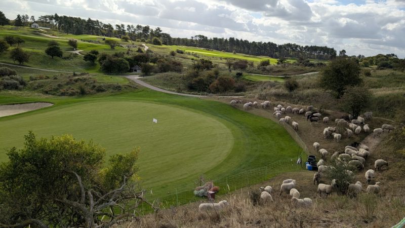 Koninklijke Haagsche Golf & Country Club