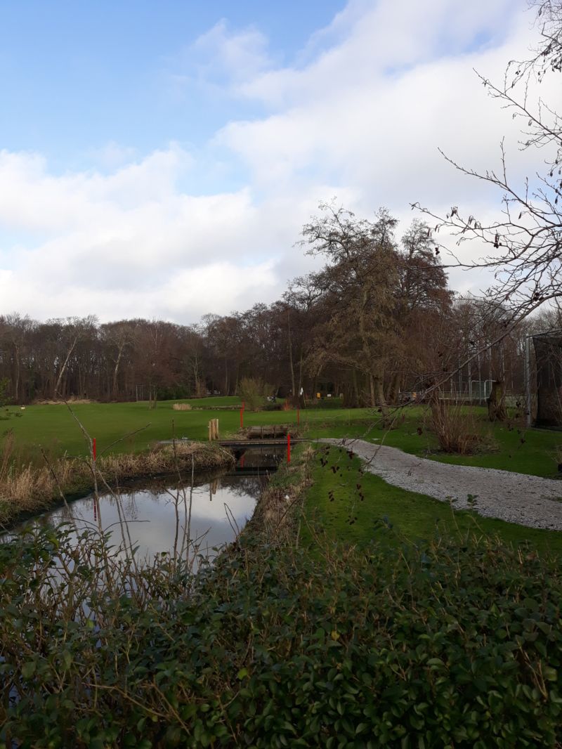 Haagsche Countryclub Groen-Geel