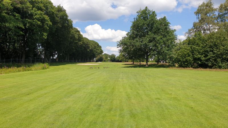 Golfclub Riel