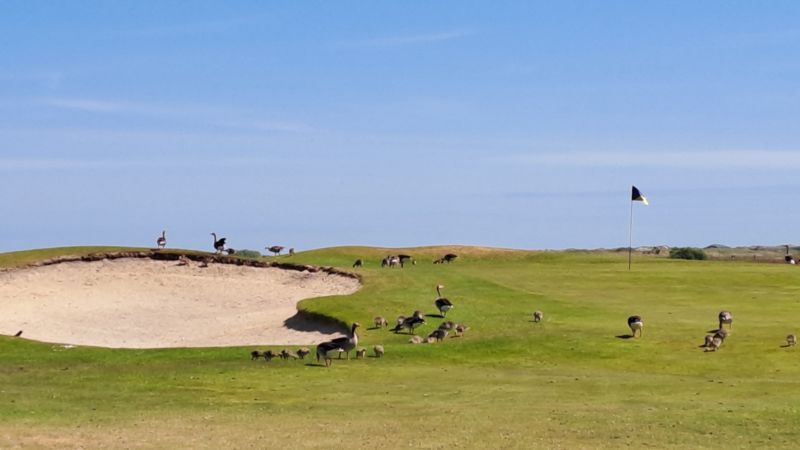 Golfvereniging Ameland