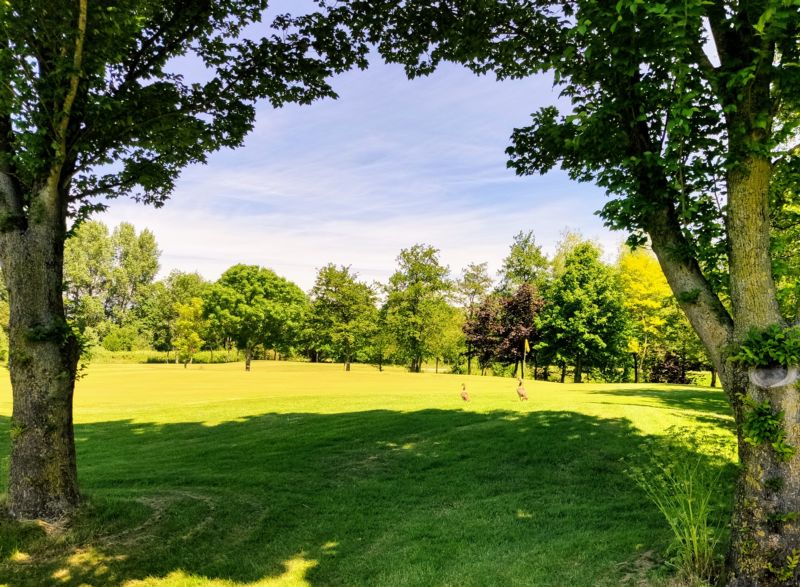 Haagse Golfvereniging Leeuwenbergh