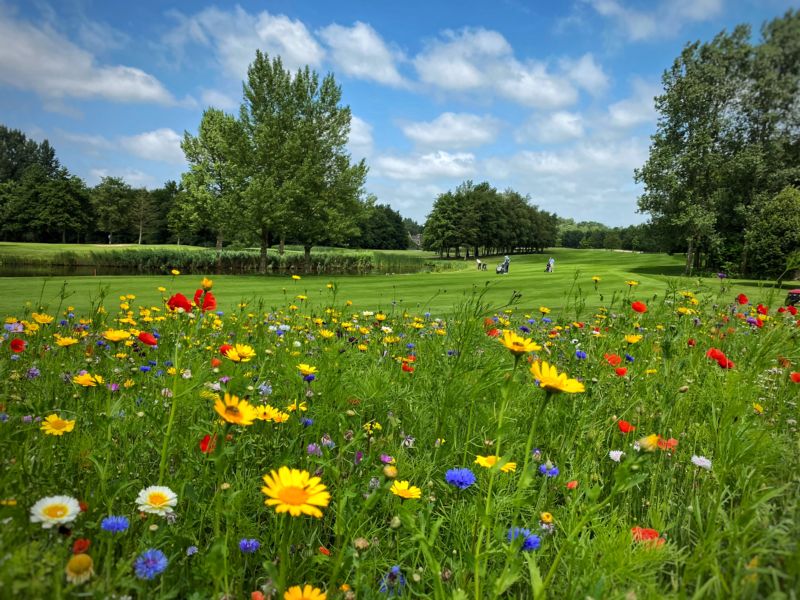 Haarlemmermeersche Golfclub